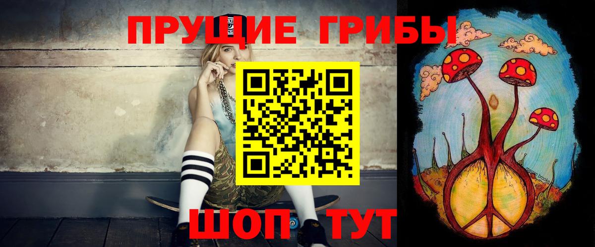Димитровград  Псилоцибиновые грибы ЛСД  даркнет сайт  Вход с VPN 